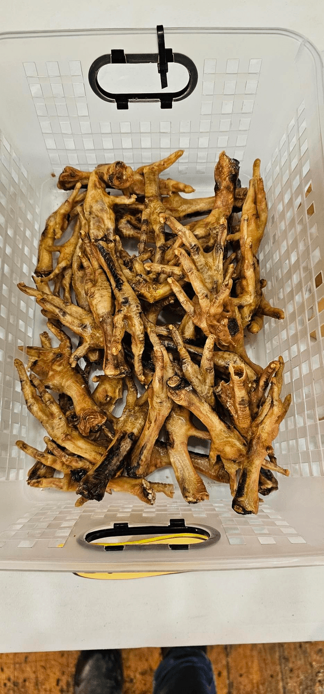 Chicken feet 