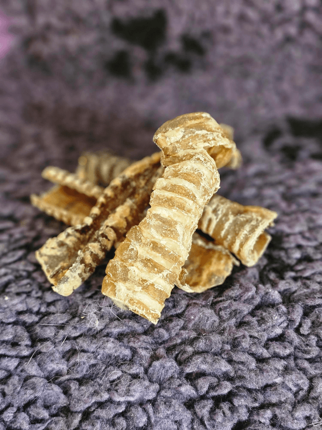 Beef trachea 