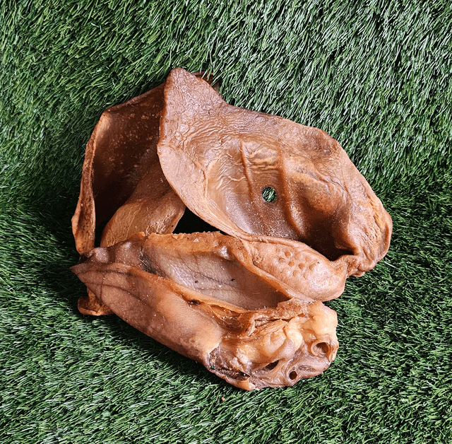 Pig ears x10