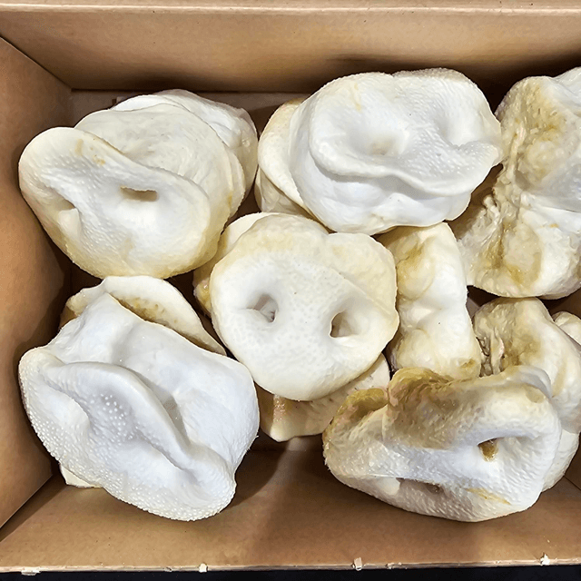 Puffed pig snouts